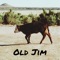 Old Jim - Owen Justice lyrics