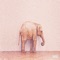 Elephant in the Room (feat. Lefty Rose) - Jäywlkr lyrics