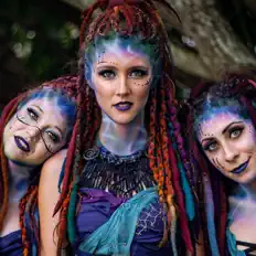 Sirenaを聴いたり、ミュージックビデオを鑑賞したり、経歴やツアー日程などを確認したりしましょう！