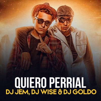 Quiero Perrial (feat. Dj Jem & Dj Goldo) - Single