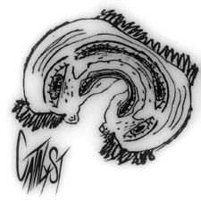 I don't wanna see you