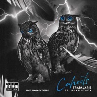 Cahoots (feat. Ruap Stacx & ShaniaOnTheBeat) - Single - Trabajarie