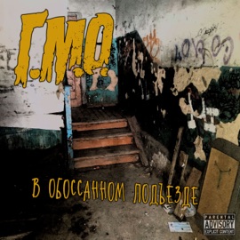 В обоссанном подъезде Г.М.О.