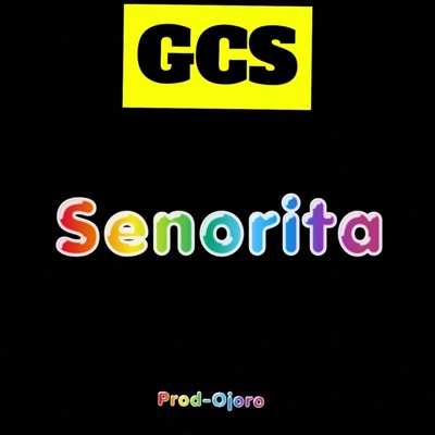 Senorita - Single