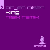 Xiing (Nilsix Extended Remix) artwork