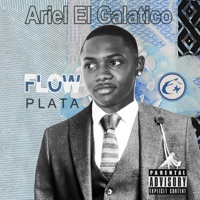 Flow, Plata - Single - Ariel El Galatico & Enfermatiko
