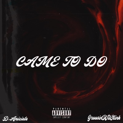 Came to do (feat. GroovinWitSlink) - Single