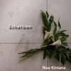 Scherben - Single