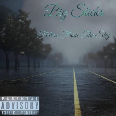 Fallen From the Sky - Single