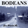 You Wasted Me - BoDeans
