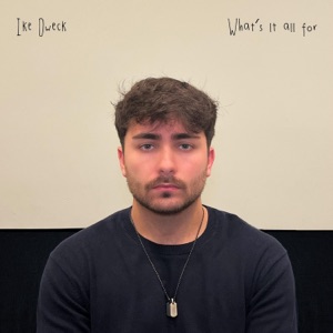 What's It All For? - Single