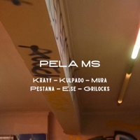 Pela Ms (feat. Kulpado, Mura, João Pestana, E.se & GriLocks) - Single - Krayy