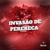 INVASÃO DE PERERECA (feat. MC MENOR DO PANTANAL) - Single