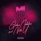 Mi Chico Latino artwork