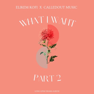 What I Want II (feat. CalledOut Music) - Single