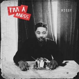 I'm a Mess Nizzy