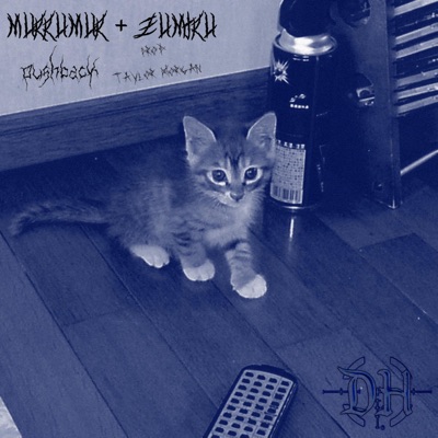 Pushback (feat. Zumtru) - Single