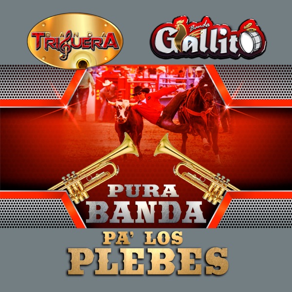 Pura Banda Pa' Los Plebes (Banda)