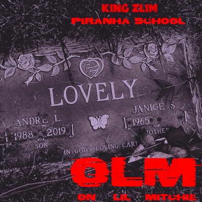 Olm (On LIL Mitchie)