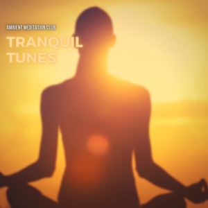 Tranquil Tunes: Ambient Music for Meditation