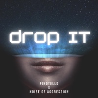 Drop It (Radio Edit) - Single - Noise Of Aggression & Pinotello