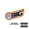 INDAGAME (feat. DON GRATTO) - DRELLYBAYBEE lyrics
