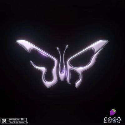 No Pienso Parar - Single