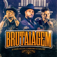 Brutaiagem (feat. Carreiro & Capataz) - Single - Junior Salles
