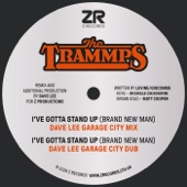 I've Gotta Stand Up (Brand New Man) [Dave Lee Garage City Mix] artwork