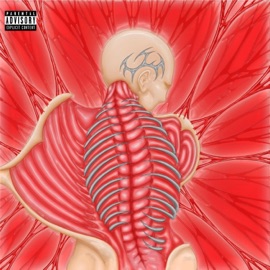 CONNARD HLOVEZ & LEDOUBLE