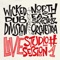 Shine a Light (Live Studio) - North East Ska Jazz Orchestra & Wicked Dub Division lyrics