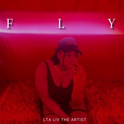 Fly - Single