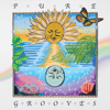 Pure Grooves Vol. 1 - Paul Cherry