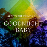 Goog Night's Sleep Music Box in the Bird Singing Woods Vol.11, -DISNEY Music-
