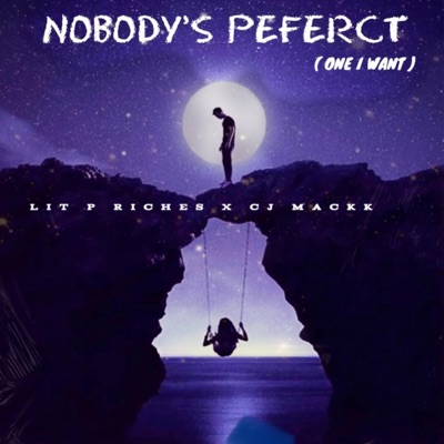 Nobodys Perfect (feat. Lit P Riches) - Single