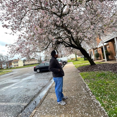 Face Ur Fears 2 (feat. Ypc Cappa) - Single