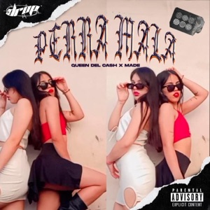 Perra Mala (feat. Made)