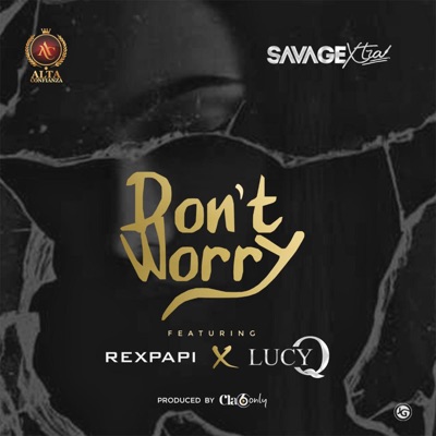 Don't Worry (feat. Rexpapi & Lucy Q) - Single
