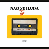 Não Se Iluda - Single - Ty