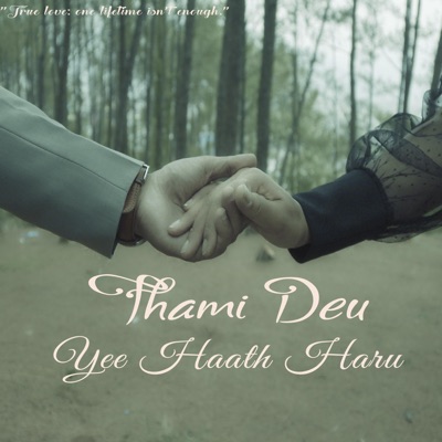 Thami Deu Yee Haath Haru - Single