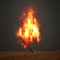 The Calling - Single - Jam Solo