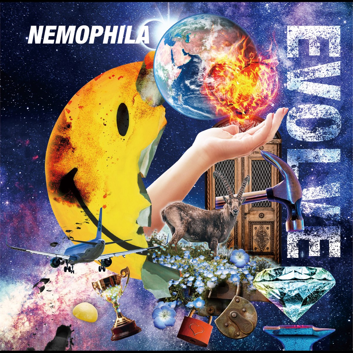 EVOLVE NEMOPHILAのアルバム Apple Music