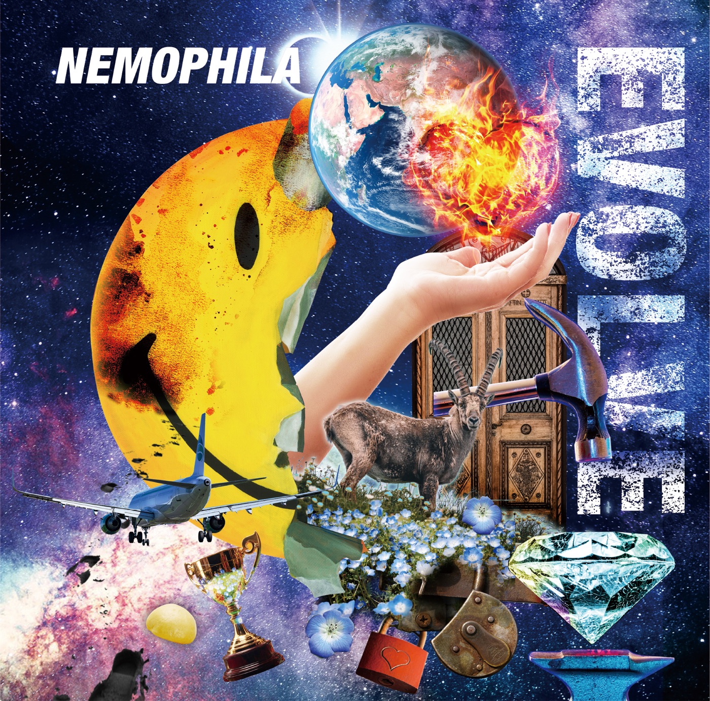 EVOLVE by NEMOPHILA