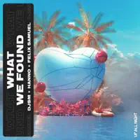 What We Found — DJSM,Hanno,Felix Samuel