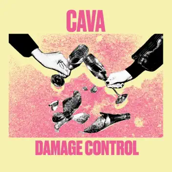 Damage Control album cover