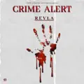 Crime Alert