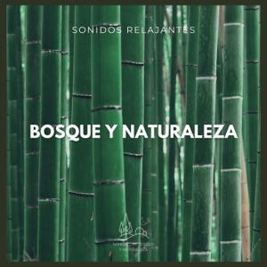 Sonidos Relajantes: Bosque y Naturaleza