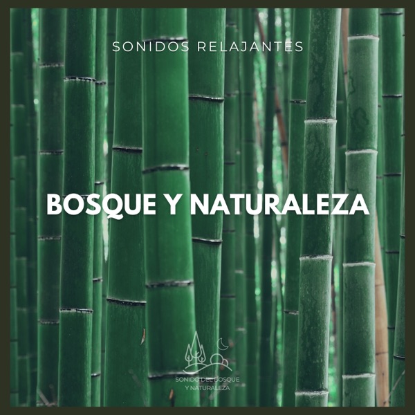 Sonidos Relajantes: Bosque y Naturaleza