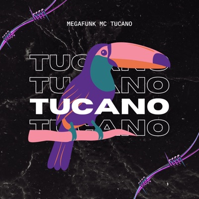 Fabinho Souza DJ - Mega Mc Tucano