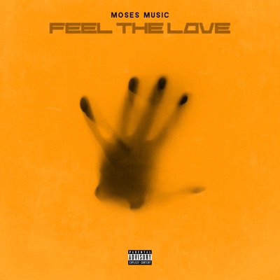 You Dont Feel the Love - Single